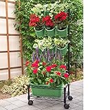 Watex Mobile Green Wall (Single Frame, Spring Bouquet), BPA Free Planters