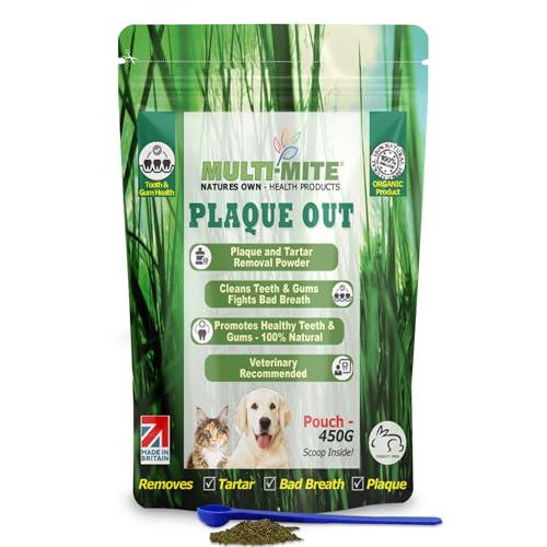 pet digestive and enzyme medications