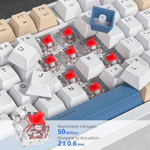 Image of 75% Mechanical Creamy Keyboard with Volumn Knob, Gasket Hot Swappable RGB Gaming Keyboard, Wired Custom Keyboard with Red Switch, 82 Keys Compact Creamy White