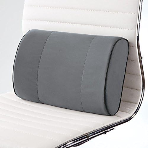 Brookstone Biosense Memory Foam Mini Lumbar Support Cushion