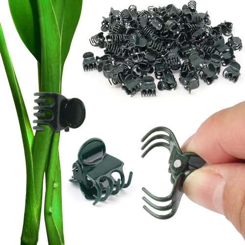 SEABABOO 100PCS Orchideen Klammern Pflanzenclips Orchideen Klammern Groß Garten Pflanzen Clips für Orchideen Klein Wird zur Befestigung von Pflanzen und zur Unterstützung von Orchideenclips verwendet