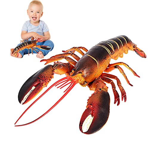 {Xg uX^[ ObY | Aȃ{Xg uX^[ tBMA - uX^[̂ Cm̊wKւ̊֐S߂ qC̋x̑ Ĉ qp