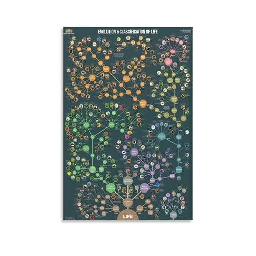 Evolution And Classification of Life Poster Canvas Art Poster And