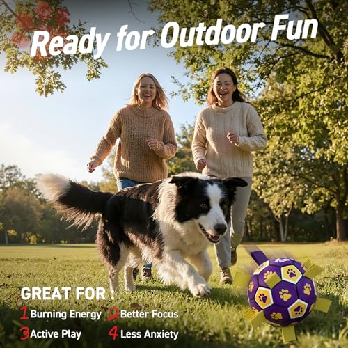 Image of QDAN Dog Balls Toys, Soccer Ball with Straps, Herding Ball Toy, Puppy Toy | 6 Inch Puppy Water Pool Toy, Durable Balls for Dogs for 20-40 lbs Dog, Outdoor Herding Balls for Small Medium Dogs