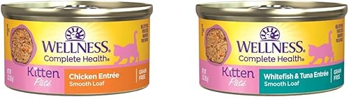 Wellness Complete Health Kitten - Paquete de comida húmeda enlatada para gatos paté de pollo, 3 onzas (paquete de 24) + paté de pescado blanco y