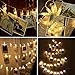 Dopheuor Photo Clip String Lights LED Fairy Clip String Lights Hanging Photo Pictures Battery Operated for Gifts Patio Christmas Bedroom Wedding Birthday Party Halloween Festival Decor (no Battery)