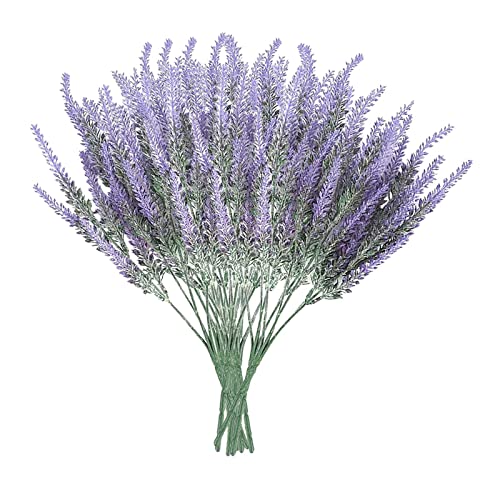 Mejores review On-line Lavanda planta precio tabla con los diez mejores. 18 Imagen adicional