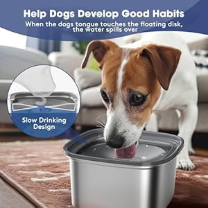 Dog-Water-Bowl-No-Spill-101oz-3L-Pet-Water-Bowl-No-Drip-Slow-Water-Feeder-with-Floating-Disk-Stainless-Steel-Dog-Slow-Drinking-Bowl-for-Small-Medium-Large-Dogs-Grey - Cucciolini Doodles   Dog-Water-Bowl-No-Spill-101oz-3L-Pet-Water-Bowl-No-Drip-Slow-Water-Feeder-with-Floating-Disk-Stainless-Steel-Dog-Slow-Drinking-Bowl-for-Small-Medium-Large-Dogs-Grey
