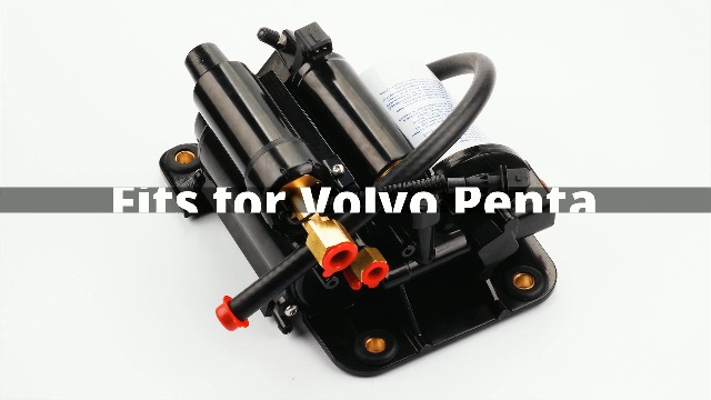 Amazon.com: Dasbecan Electric Fuel Pump Assembly Compatible