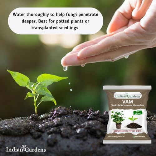 Image of Indian Gardens - VAM (Vesicular Arbuscular Mycorrhiza) Bio fertilizer for All Plants | Root Growth Booster | Organic Plant Food (200 Grams)
