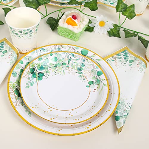 Sage Green Paper Plates And Napkins, Green Party Plates Supplies, Disposable Tableware Paper Plates, Cups, Napkins For Boy Baby Shower, Jungle Safari Boho Party Supplies ,Bridal Shower,Serves 24 #TOP3