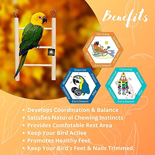 Image of Natural Wooden Ladder Bird Toy | Climbing, Exercise & Fun | for Small & Medium Birds (3 Step)