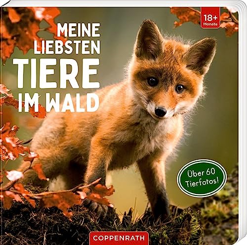 Meine liebsten Tiere im Wald
