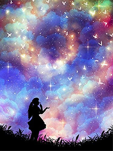 HASTHIP® 5D DIY Diamond Painting Kit Character, Full Diamond Painting, Starry Sky Embroidery, Home Wall Decoration and Children's Gifts(Multi 4), Aluminum, Metal 30x40 cm
