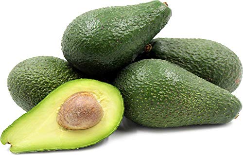 Aiden Gardens Tropical Dwarf Avocado Pinkerton Persea americana Butter Fruit 1 Healthy Live plant Seedling (B094465P8X) Amazon Price History, Amazon Price Tracker