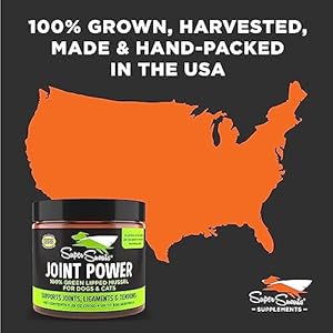 Super Snouts Joint Power 100% Green Lipped Mussels for Dogs & Cats – Dog Joint Supplement Powder Supports Joints, Tendons, Ligaments (2.64 oz)