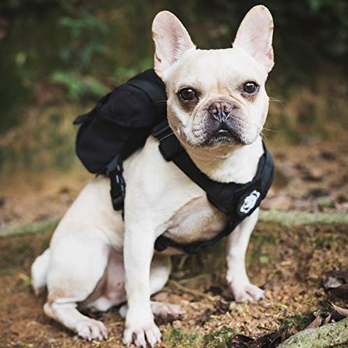 OneTigris Eureka Hunderucksack, Kleiner Hundebackpack mit Kotbeutelspender zum täglichen Wandern für kleine Hunde