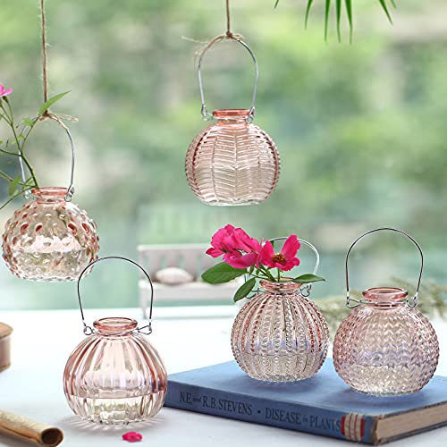 Eleganttime Single Glass Bud Vase Pink Glass Vases For Centerpieces Decor Glass Flower Vase Bottle With Crok Wire Iron Handle Design Perfect For Cafes, Office Table, Home And Garden #TOP2