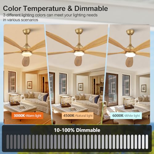 Image of OKDNEG 72 Inch Ceiling Fans with Lights and Remote, Gold 5 Blade Outdoor Ceiling Fans,3CCT Dimmable,Timer,Quiet DC Motor,6 Speed,Indoor Outdoor Ceiling Fan for Offices Farmhouse Gazebo Patio