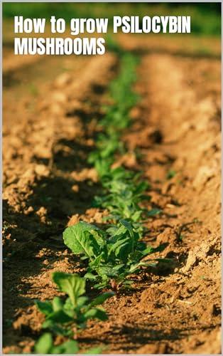 How to grow PSILOCYBIN MUSHROOMS: Magic mushroom cultivation. Easy grower’s guide book