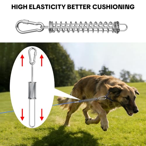 Image of Dog Tie Out Spring, Heavy Duty Shock Absorber Spring for Tie Out Cable & Chain, Rustproof Stainless Steel Buffer, Dog Leash Shock Absorber (1 Spring)