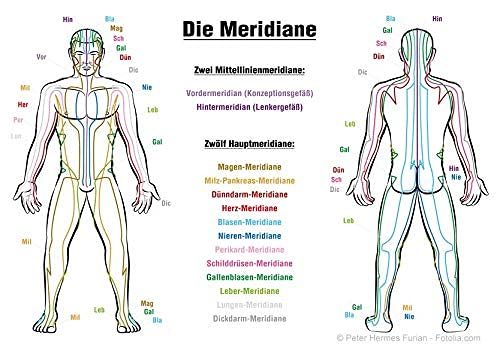 Johanniskraut + ALLE 38 Bachblüten Bioresonanz- Globuli. Multipower für positive Energieversorgung, Lebenskraft und Resilienz. LESEN !! Vorteils-Set von Sonnenherz