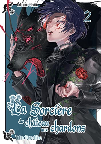 La sorcière du château aux chardons — Tome 2