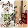 BYHER Natural Birch Wood Logs for Crafts, 10Pcs 4.7 Inch Rustic Vase Fillers for Floral Arrangements, DIY Craft Decor, Unfinished Crafts for Centerpieces #5