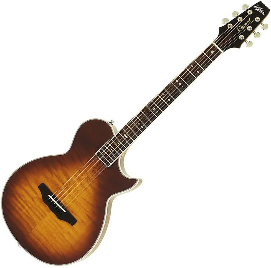 Amazon | ARIA APE-100 TS タバコサンバースト アコースティックギター