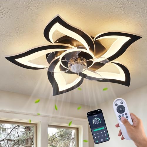 Dalouguan Ceiling Fan with Lights Remote Control, 24" Black, 6 Sp...