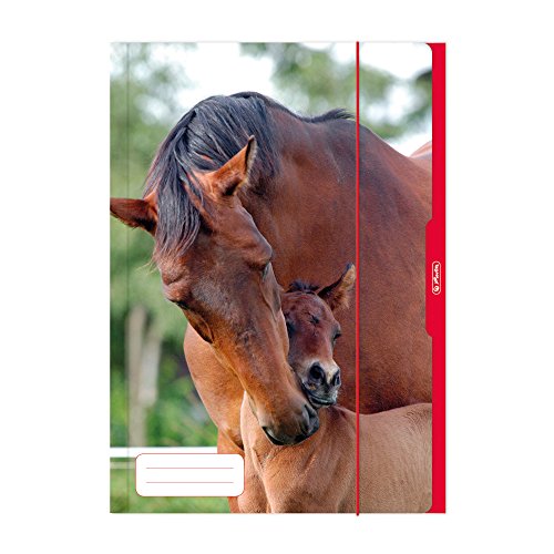 Preisvergleich Produktbild Herlitz 10285690 Sammelmappe A3 Pferd