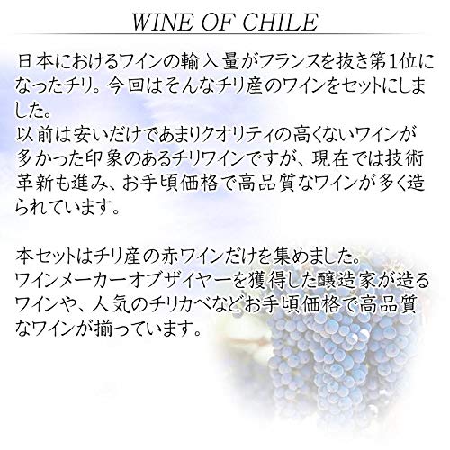 神田商店 チリ産赤ワイン12本セット