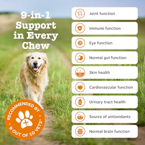 Zesty Paws 9 in 1 Multivitamins for Senior Dogs | Supports Joints, Skin, Eyes, Brain Function, Immune System, Urinary Tract, Heart & Gut Health| Vitamin A, B & C, Folic Acid, Biotin | 90 Chews - Image 3