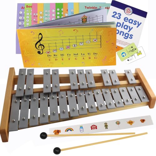 Glockenspiel 25 Note - Chromatic Metal Xylophone - Sheet Music Cards T2