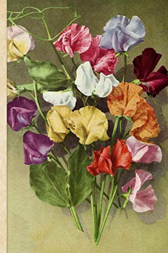 Composition Notebook: Nice Sweet Peas 6 x 9 150 pages Lined Notebook for school university, teacher, student