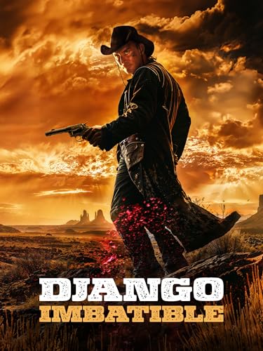 Django imbatible