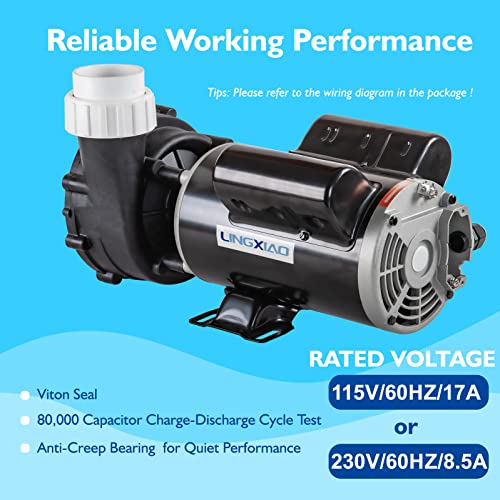 Image of Single Speed Hot Tub SPA Pumps - LX SPA Pump Motor 2.5HP, (115V or 230V) /60HZ, 2 inch Port, 48 Frame High Performance SPA Pump - (Model: 48WUA1653C-I)