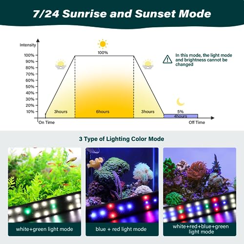 AQQA Aquarium Clip On Light, Full Spectrum LED Fish Tank Light with Dimmer-Timer,24/7 Lighting Cycle,3 Types of Lighting Color Mode, 8W Intensity Adjustable Fish Tank Clip On Light - Image 4