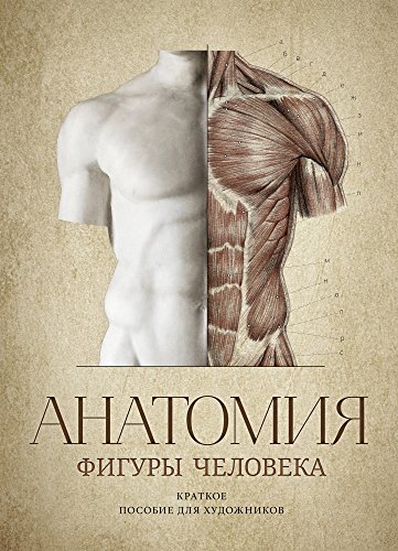 Anatomy of Human Figure: The Guide for Artists (RUSSIAN language)