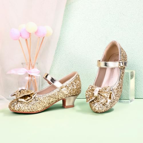 Image of PANDNAINJIA Girls Dress Shoes Toddler Heels Mary Jane Pumps