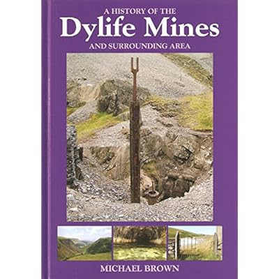 A History of the Dylife Mines and Surrounding Area