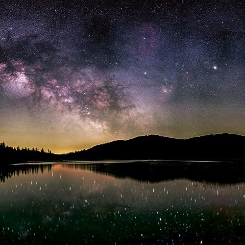 Deux mots une histoire- bonhomme, chien