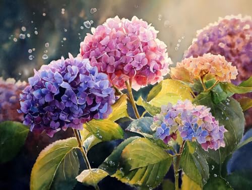 GSҌ DIY ANG̋hGLbgAPaint by NumbersqƑlnhhGAWTCJ[CeAyCgoCio[ G|XgXDIY`ACeA Ƃ̕ǂ̑A40x50cm/16x20C`(t