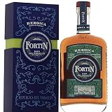 Fortin Heroica 40°