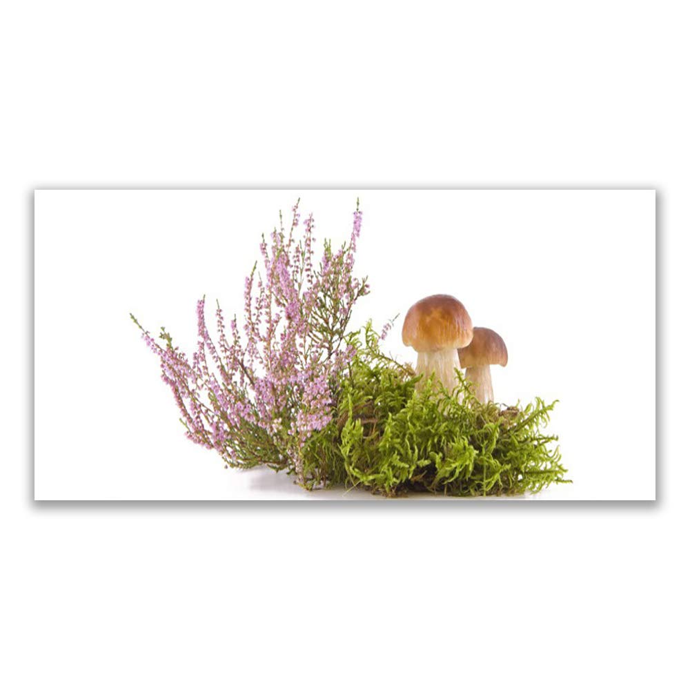 Tableau décoration déco mural moderne champignons floral Tulup impression sur verre trempé