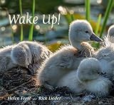 Wake Up!