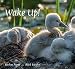 Wake Up!