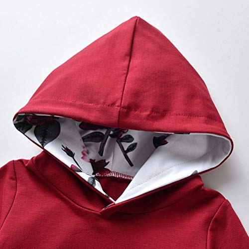Baby Girl Clothes Long Sleeve Floral Hoodie Sweatshirt Pants With Pocket Headband Outfit Sets (0-6 Months) Wine Red #TOP2