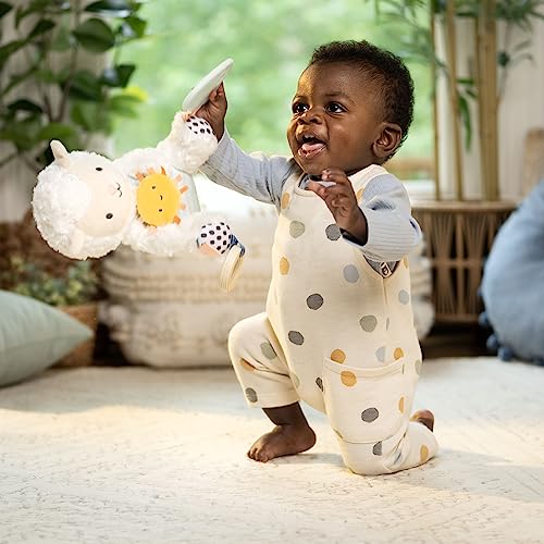 Image of Ingenuity Calm Springs Plush Activity Pal BPA-Free Cloud Teether, Multi-Texture Fabrics, Sheppy