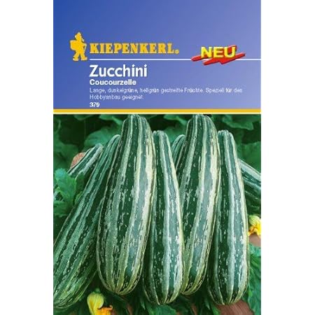 Sperli Gemüsesamen Zucchini Coucourzelle, grün